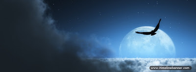 Bird flying in the moonlight night Facebook Cover Photo