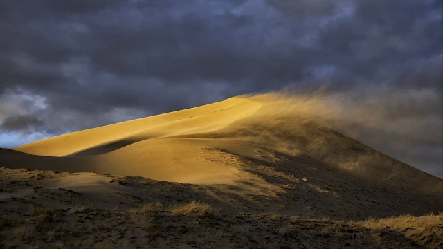 Sunset, Desert, Dune, Sand, Wind