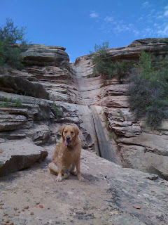 Scout at Rough Canyon Falls