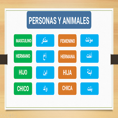 أمثلة على استخدامات المذكر والمؤنث في أسماء الأشخاص في اللغة الإسبانية