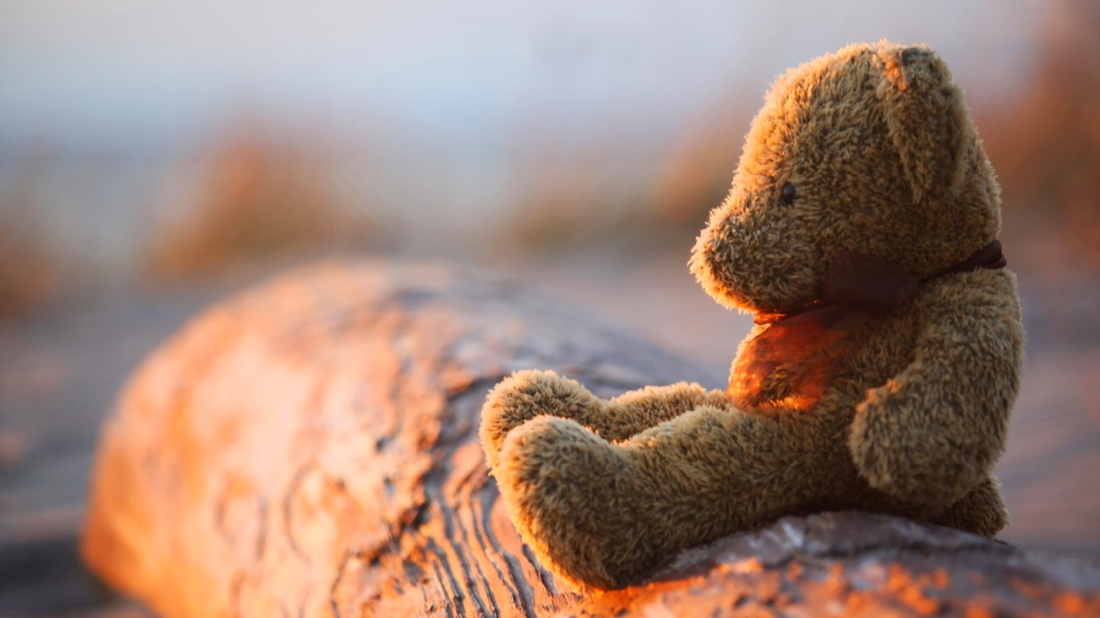 Pictures Of Sad Teddy Bear Lost Lonely Feeling After Love Break Up