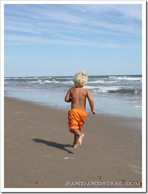 Outerbanks of NC