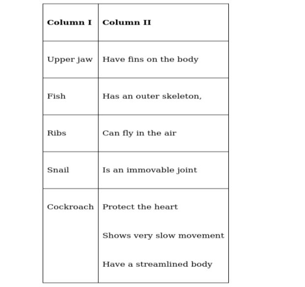 Class 6 science chapter 8 Body Movements | एनसीईआरटी समाधान कक्षा 6 पाठ 8 शरीर में गति प्रश्नोत्तर अंग्रेज़ी में | Class 6 Science chapter 8 Questions answers in English | Latest NCERT Solutions for Class 6 science chapter 8 (Body Movements) extra questions and answers keywords MCQ in english medium Notes & PDF |