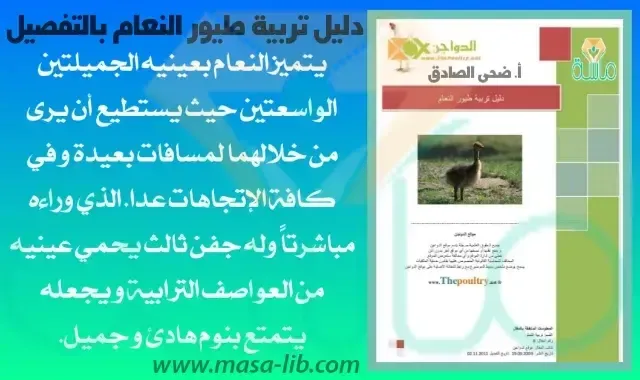 دليل تربية طيور النعام PDF