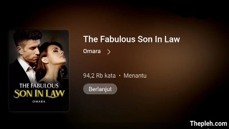 Novel The Fabulous Son In Law Full Bab