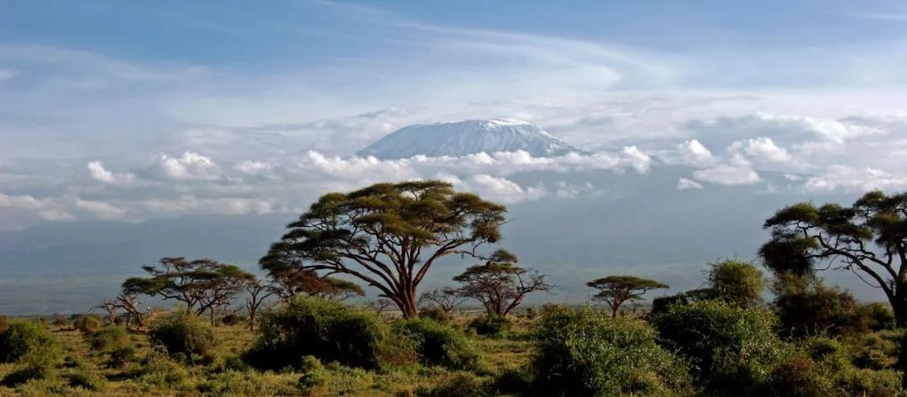 Amboseli National Park 3