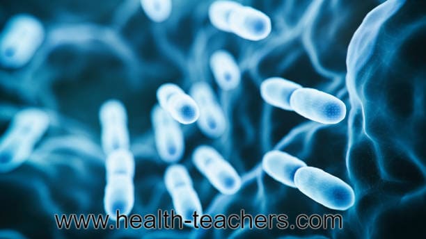 Beneficial bacteria in the digestive system fight disease-causing bacteria