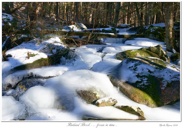 Rutland Brook: ... frozen in time...