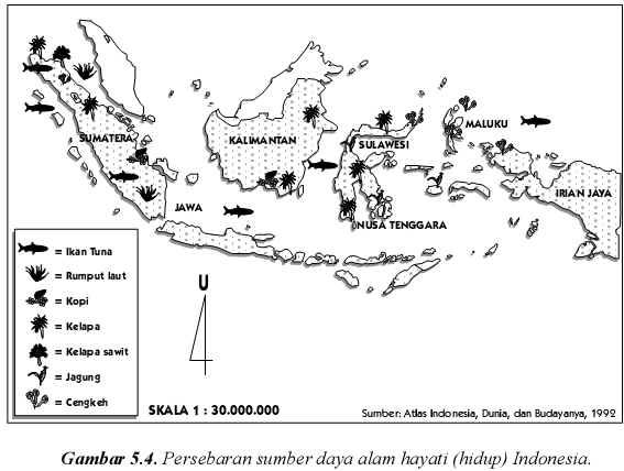 Alam indonesia Sumber daya alam di indonesia