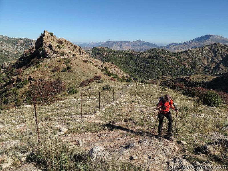 Valle de Lifa