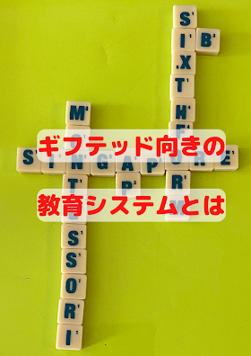 【ギフテッド向きの教育システム④それぞれの特徴とギフテッドの特性】幅広くか専門を深めるか