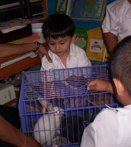 Rabbit lovers farm Lamongan: Mitos atau Anggapan Yang 