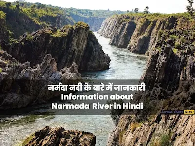 Narmada nadi ke baare me jaankari