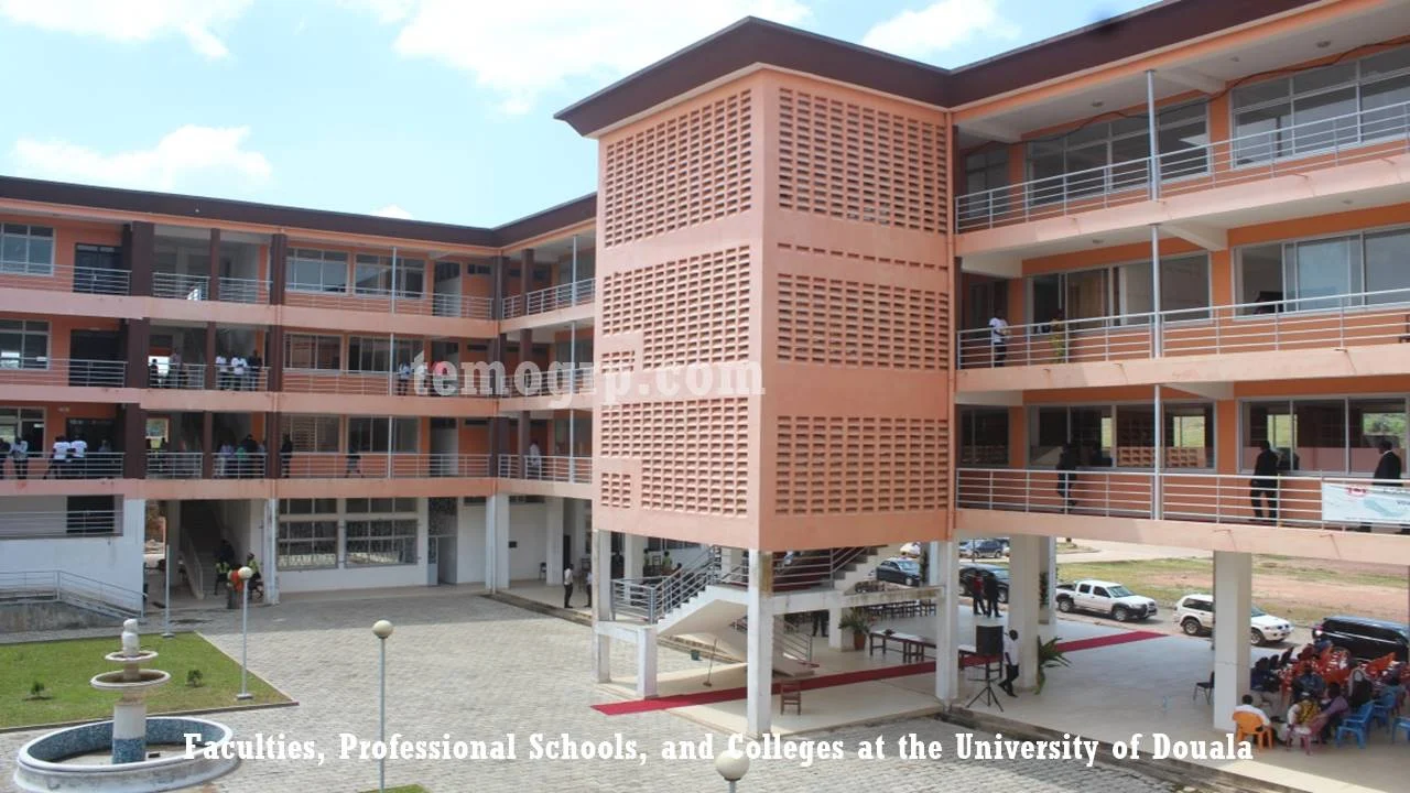 Faculties, Professional Schools, and Colleges at the University of Douala