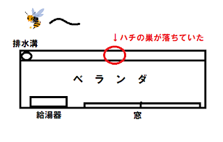 ベランダの軒先下にハチの巣が落ちていた