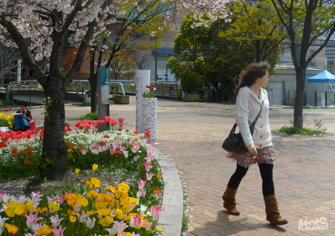 Béné no Fukuoka ! - a French in Japan