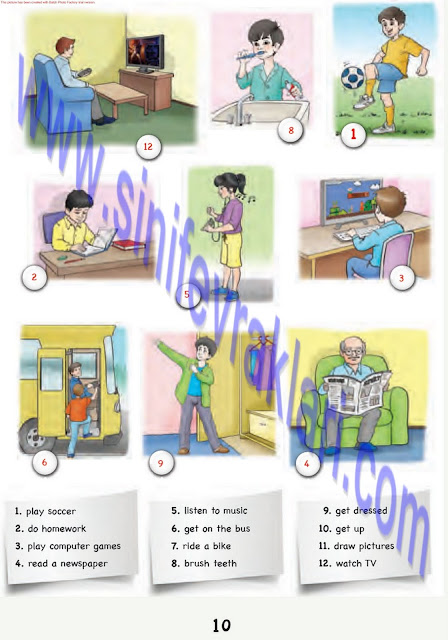 6. Sınıf İngilizce Ada Matbaa Yayınları Çalışma Kitabı Cevapları