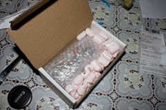 20100211-IMG_3406
