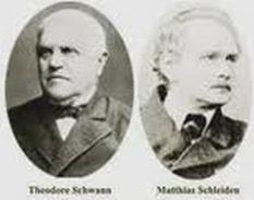 Matthias Schleiden & Theodor Schwann