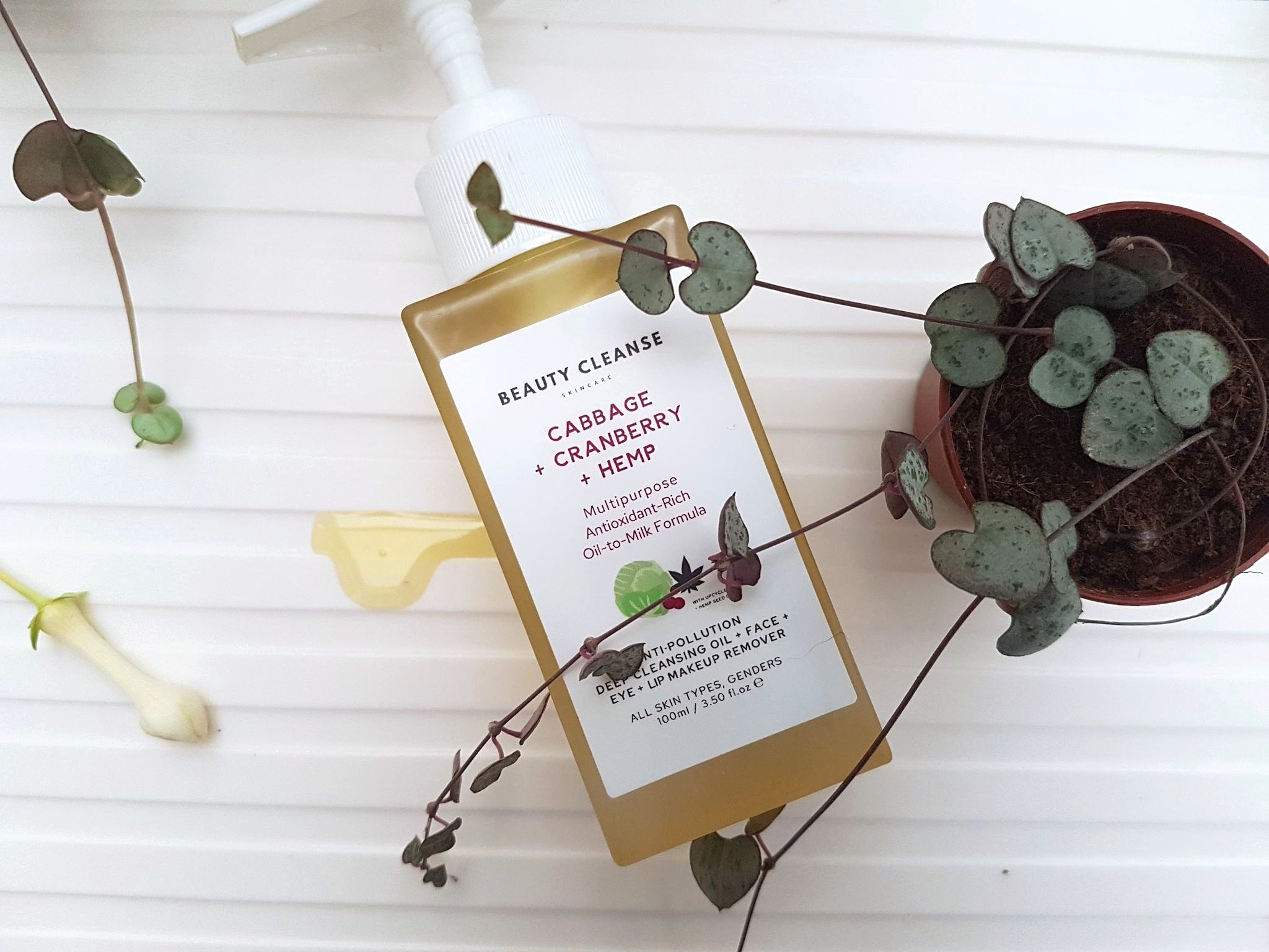 Beauty Cleanse Skincare Cleansing Oil Makeup Remover glass bottle next to a golden puddle of oil, surrounded by string of hearts plants