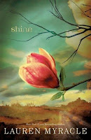 bookcover of Shine By Lauren Myracle