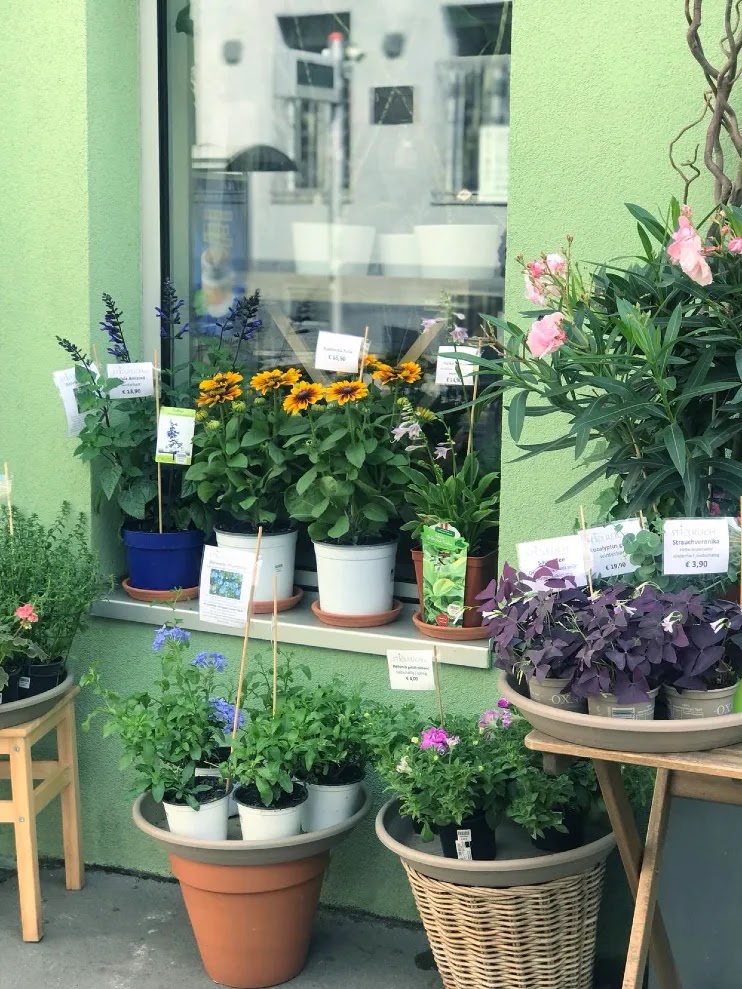 Plant Shops And Plant Delivery Services in Vienna, plant shop vienna, Online plant shops Vienna