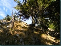 DSCN8817