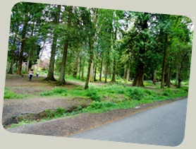 My grandchildren go exploring in Balloch park