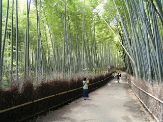 Bild från Arashiyama bambuskog utanför kyoto, Japan. på bilden växer hög tät bambu på båda sidor en väg där människor promenerar.