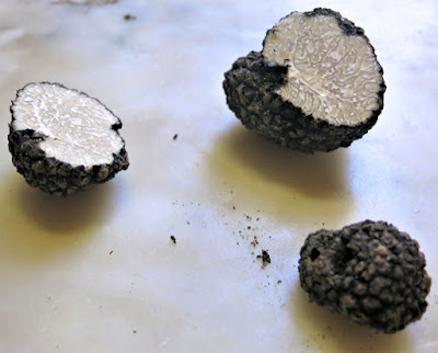 truffe blanche d'été