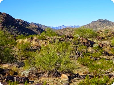Holbert Trail