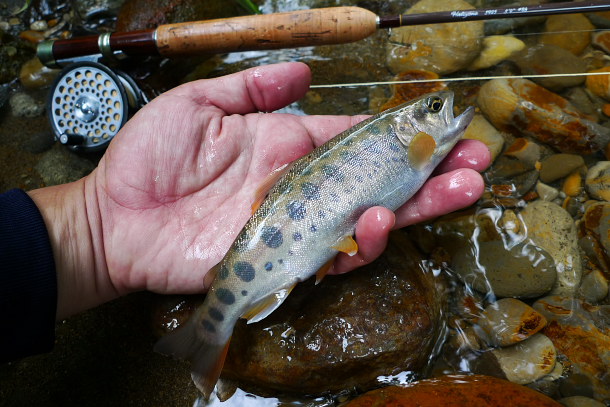 P1050847.jpg