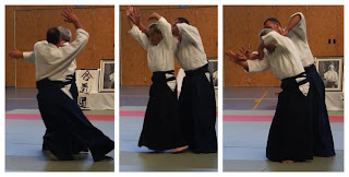 Aikido Kote gaeshi ushiro