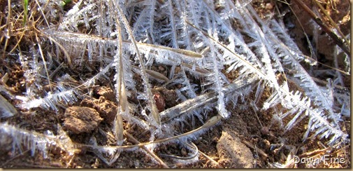 Magnolia ranch hike_002