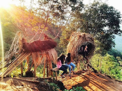  Miniatur Rumah Burung Raksasa