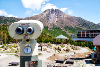 様々な高山植物が咲く楽園・山頂駅ロックガーデン