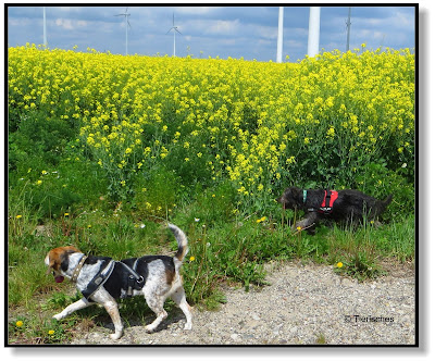 Emma und Lotte unterwegs