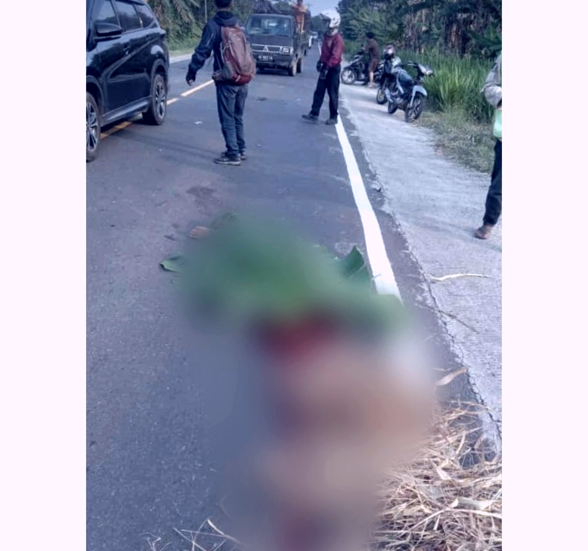 Kronologi Kecelakaan Truk vs Motor Di Munjuk Sampurna Kalianda - Lampung Selatan