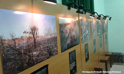 Estação Natureza pantanal, fogo, exposição, queimadas, incêndios florestais, incêndios, fogo, meio ambiente, pantanal, biodiversidade, natureza, seca