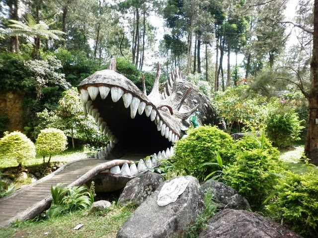 Mandalawangi Cibodas Taman Komodo