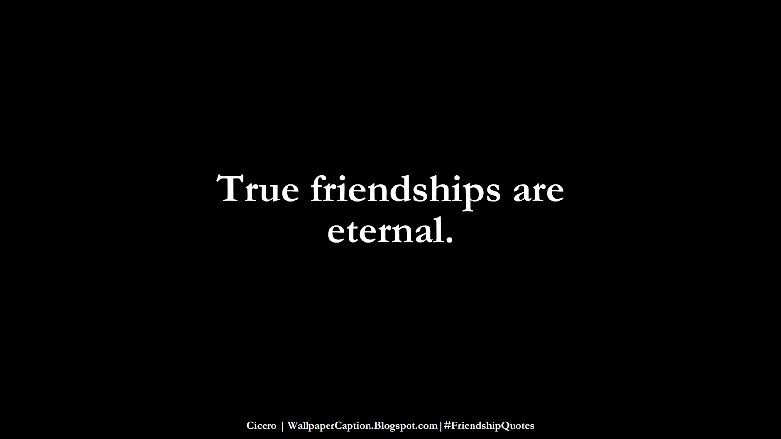 Wallpaper Caption; Phone Wallpaper; Computer Wallpaper; Wallpaper with Quotes; Beautiful Quotes; Wisdom Quotes; Friendship Quotes Wallpaper