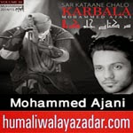 http://audionohay.blogspot.com/2014/10/muhammad-ajani-nohay-2015.html