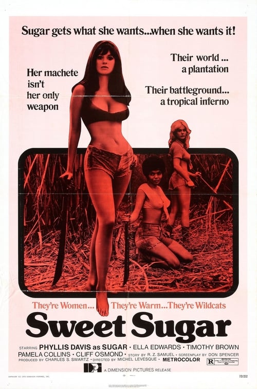 Regarder Sweet Sugar 1972 Film Complet En Francais