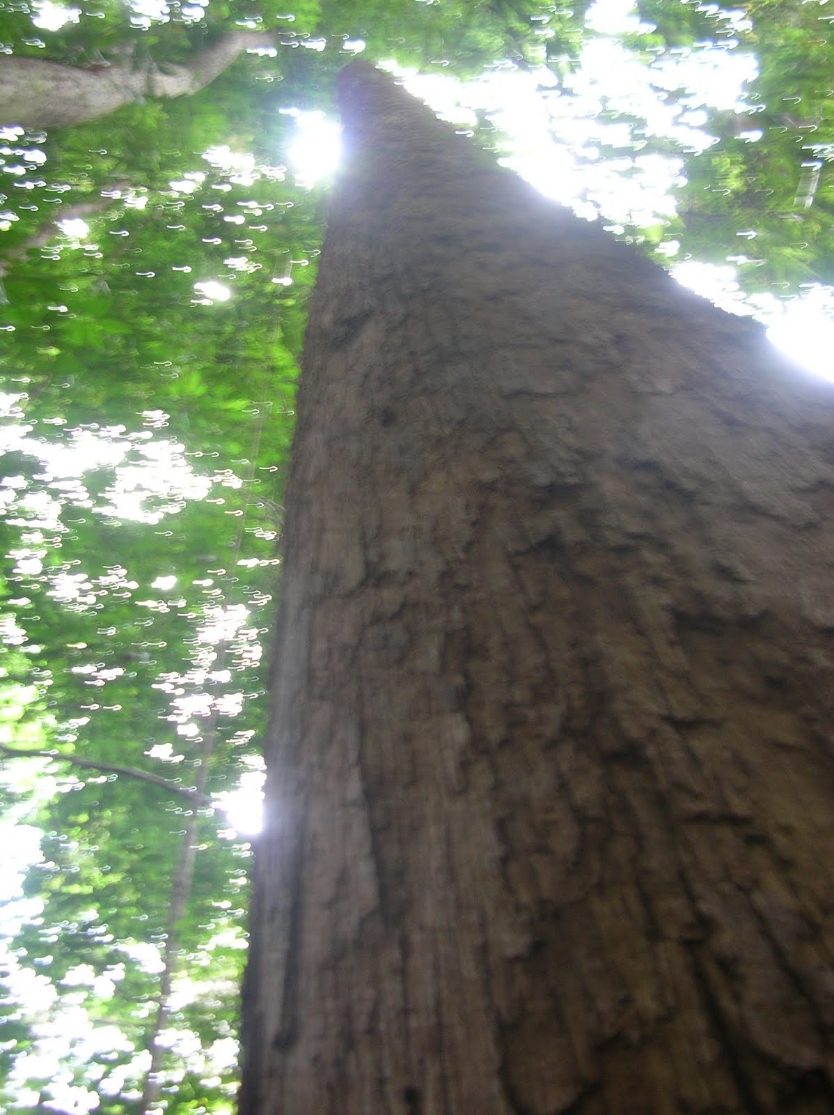 DSCN5294.JPG