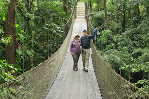 Hiking in the Jungle