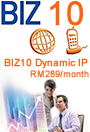 BIZ10 Dynamic IP