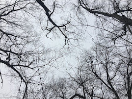 TREETOPS