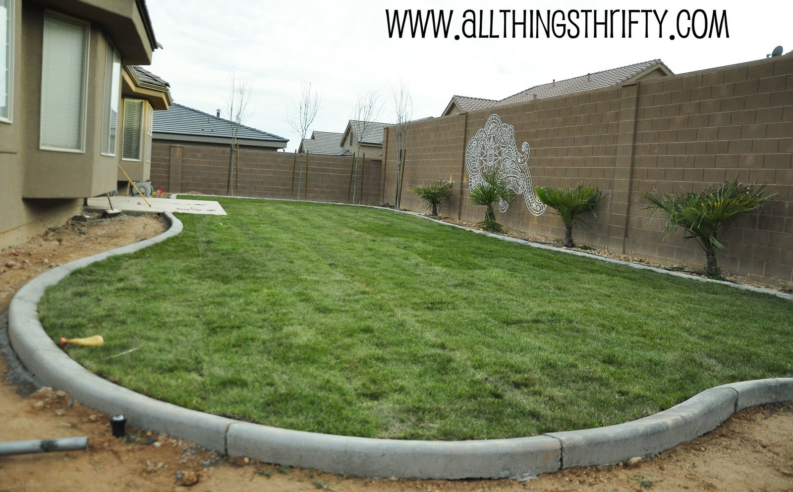 Sod Landscape