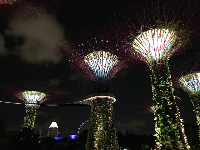 Gardens by the Bay - Singapore