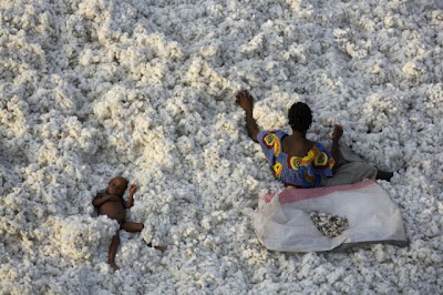 Beautiful Bird's-Eye Photos by Yann Arthus-Bertrand Seen On www.coolpicturegallery.us